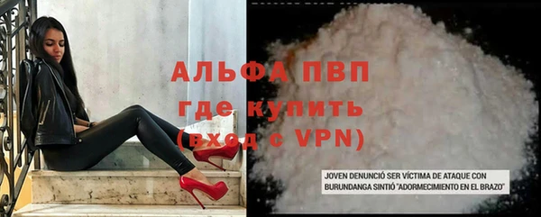 стафф Майский
